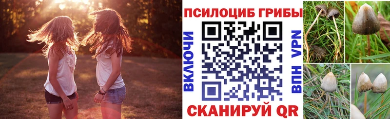 Псилоцибиновые грибы мицелий  как найти закладки  Макушино 